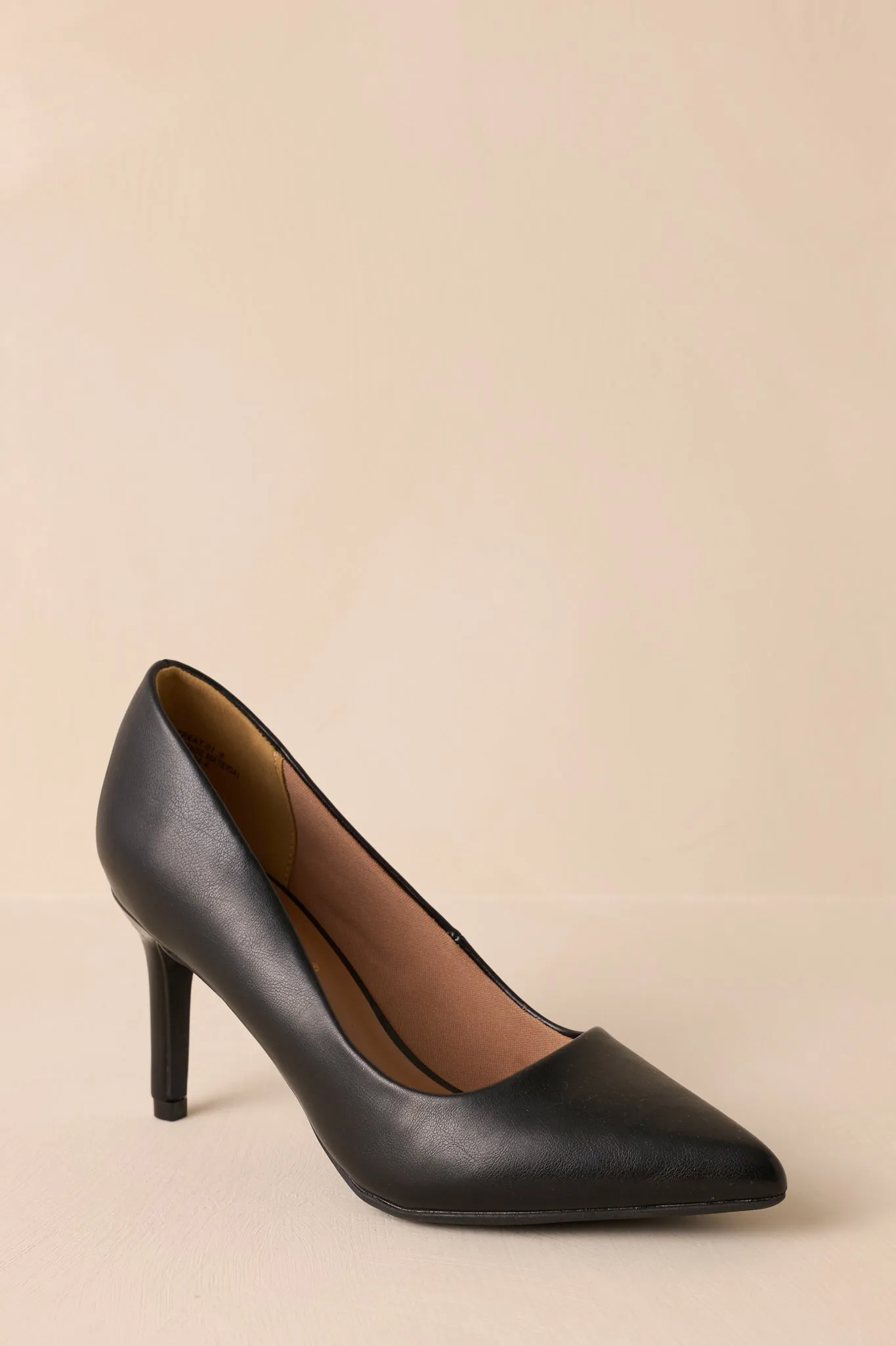 Bold Balance Black Pointed Toe Pump Heels